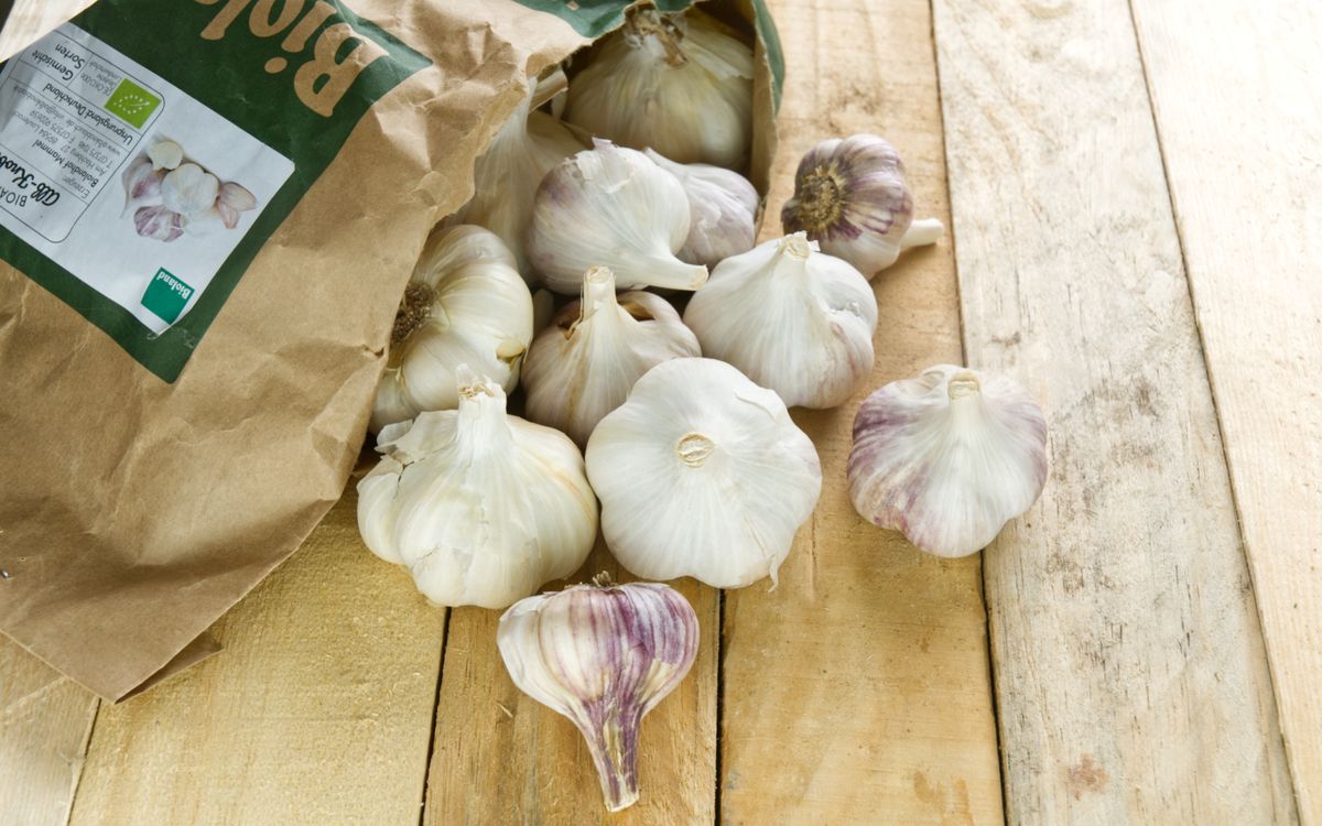 Bio Knoblauch 1kg