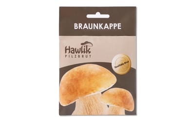 Braunkappe - Dübel