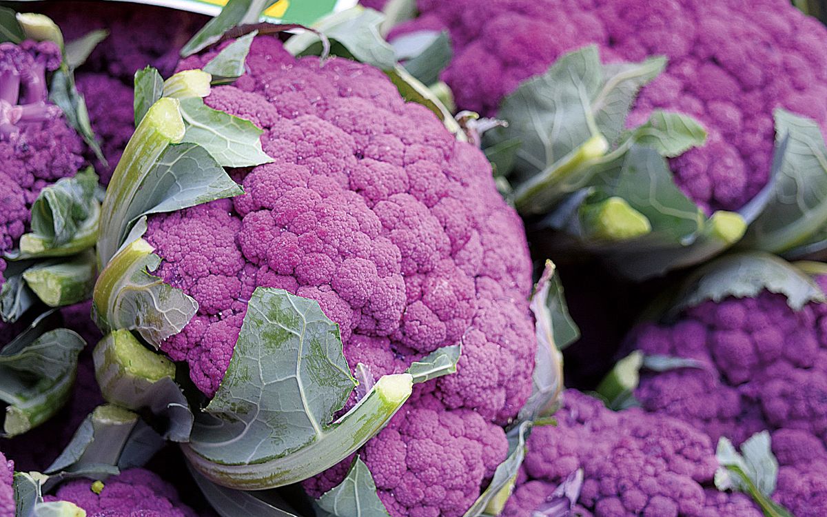 Blumenkohl Di Sicilia violetto