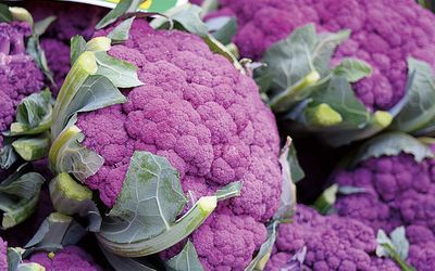 Blumenkohl Di Sicilia violetto