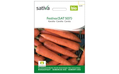 Festiva