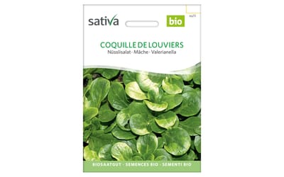 Coquille de Louviers