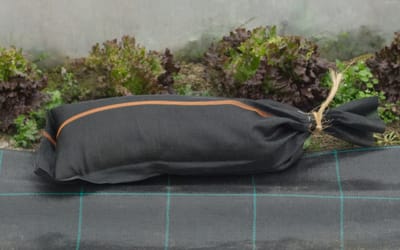 Randsack