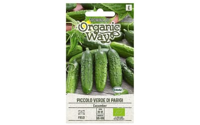 Piccolo Verde di Parigi 