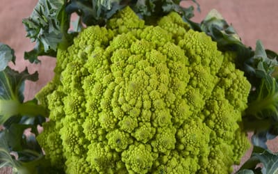Romanesco