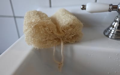 Luffa-Schwamm
