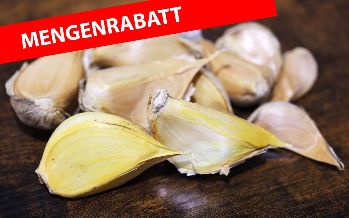 Elefantenknoblauch - 500 g