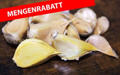 Elefantenknoblauch - 500 g