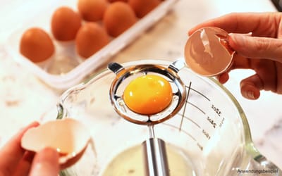 Eier-Trenner