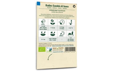 Radies Candela Di Fuoco