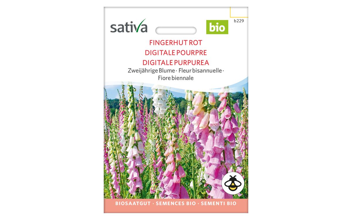 Roter Fingerhut