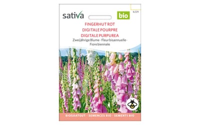 Roter Fingerhut