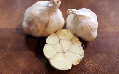 Knoblauch Garcua