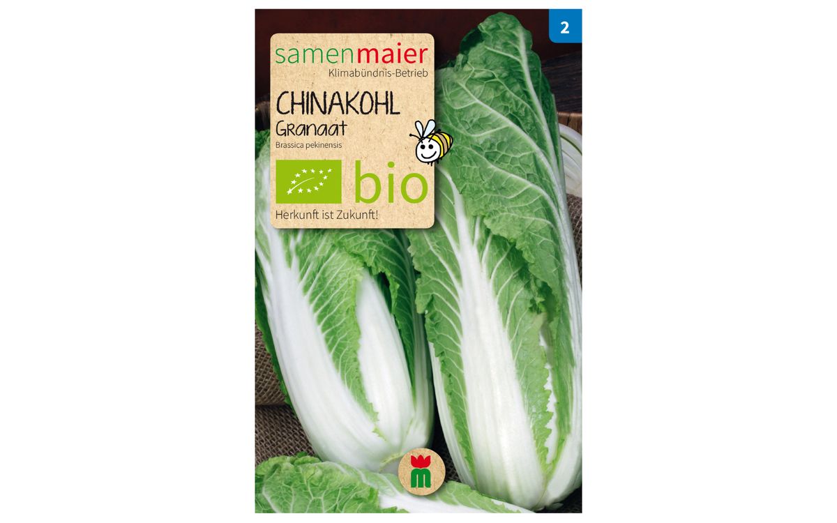 Chinakohl Granaat