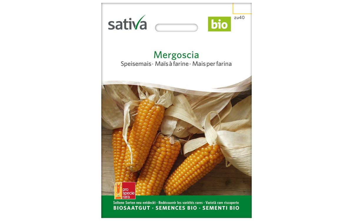 Mergoscia