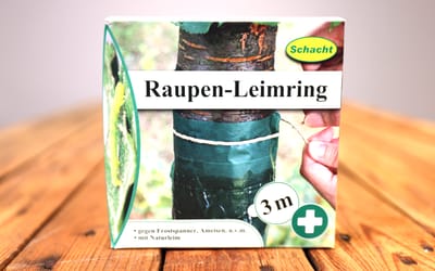 Raupen-Leimring