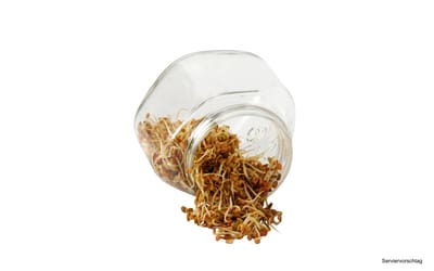 Sprossenglas 750 ml SET