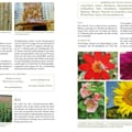 Vorschaubild 5