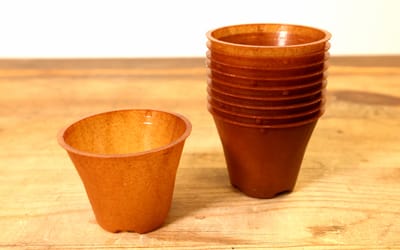 Pflanztöpfe aus Hanffaserverbund - 6 cm - 10 Stück