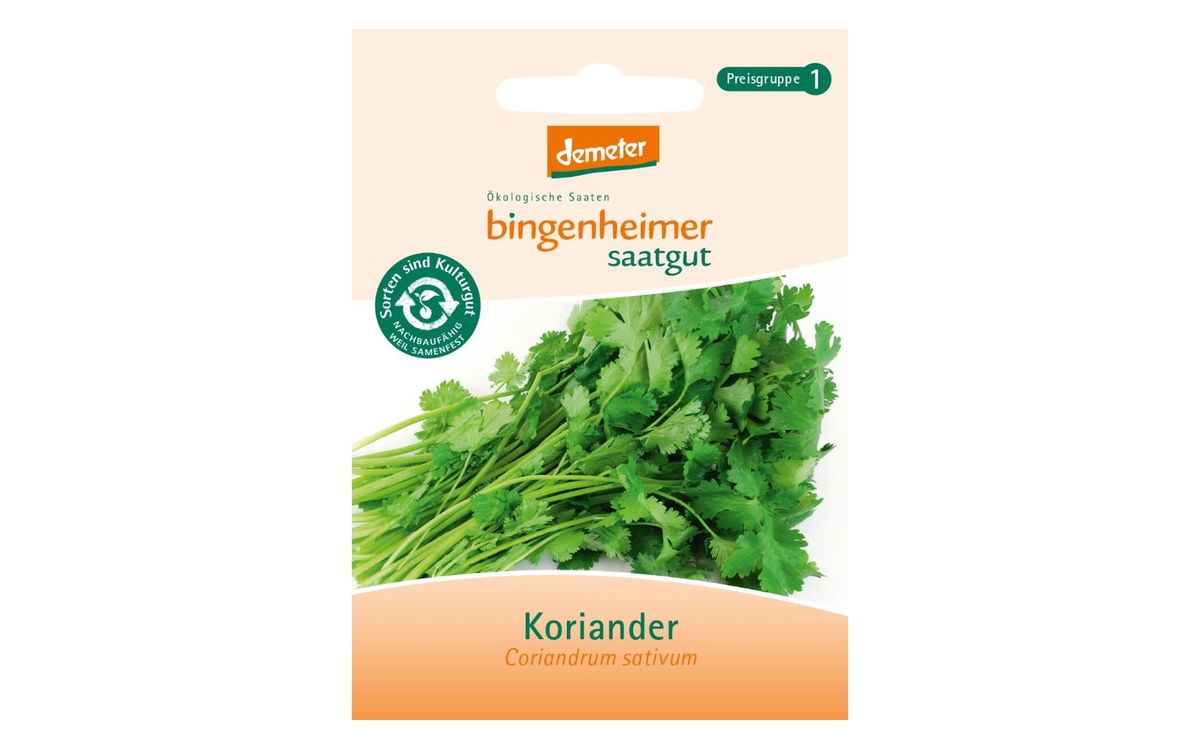 Koriander