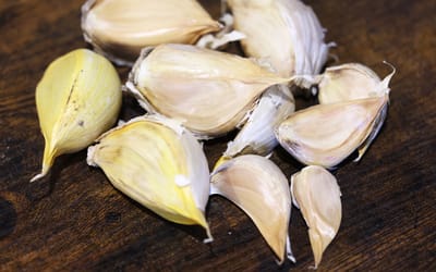Elefantenknoblauch aus der Gartenoase - 100 g