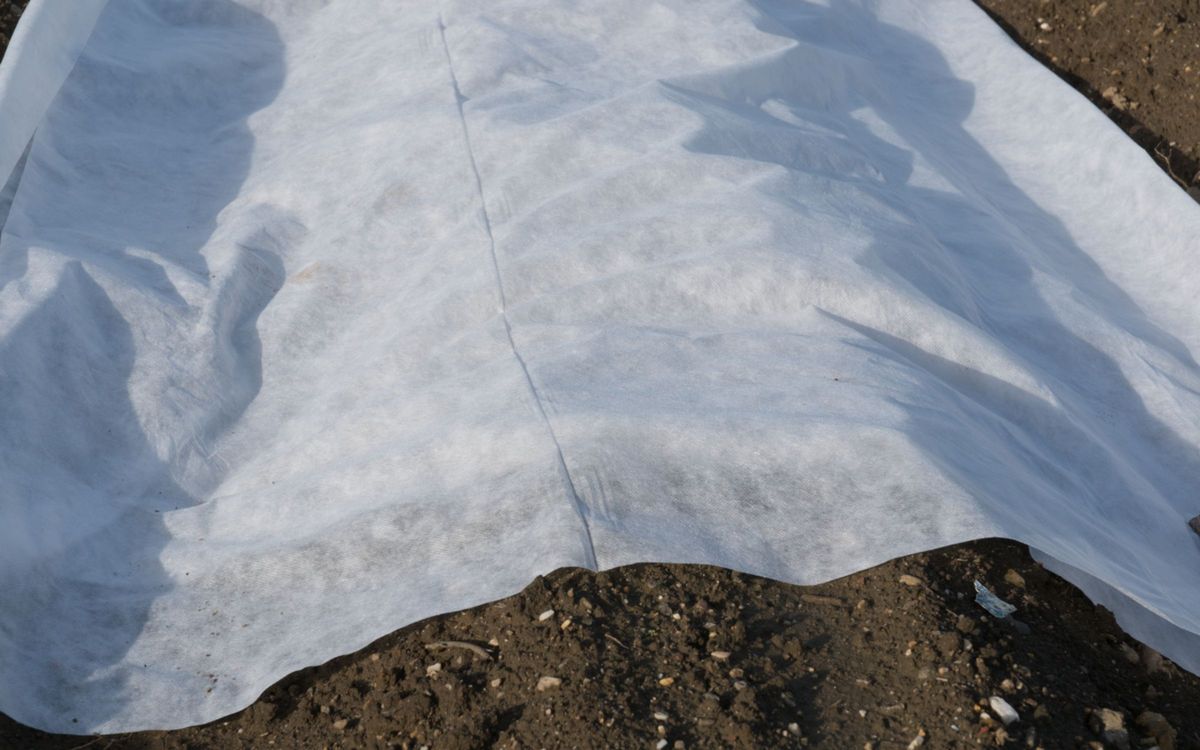 Wintervlies 1,6m × 20m