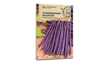 Stangenbohne Blauhilde