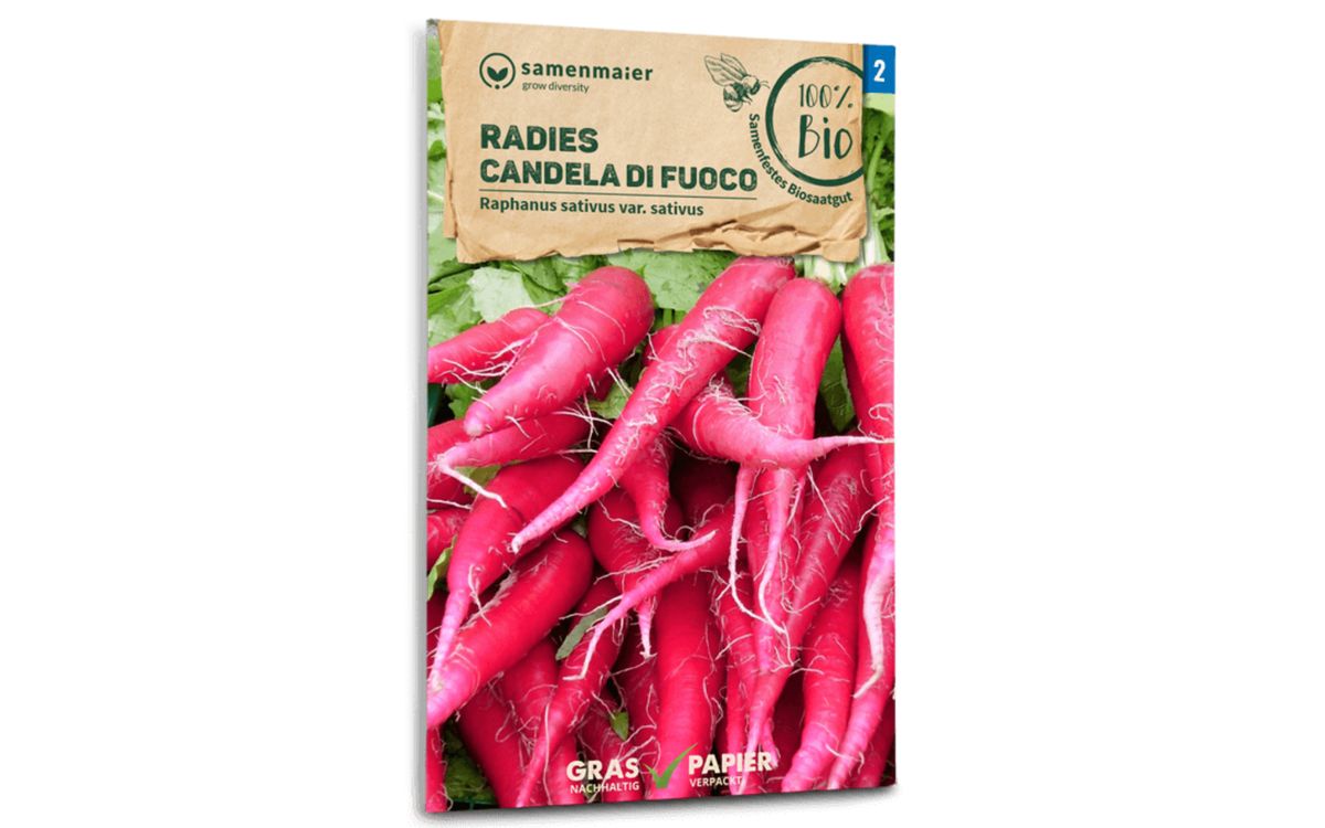 Radies Candela Di Fuoco