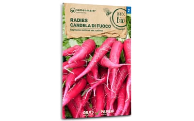 Radies Candela Di Fuoco
