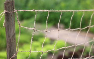 Jute Ranknetz