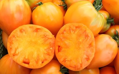 Ochsenherz Orange