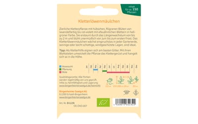 Kletterlöwenmäulchen