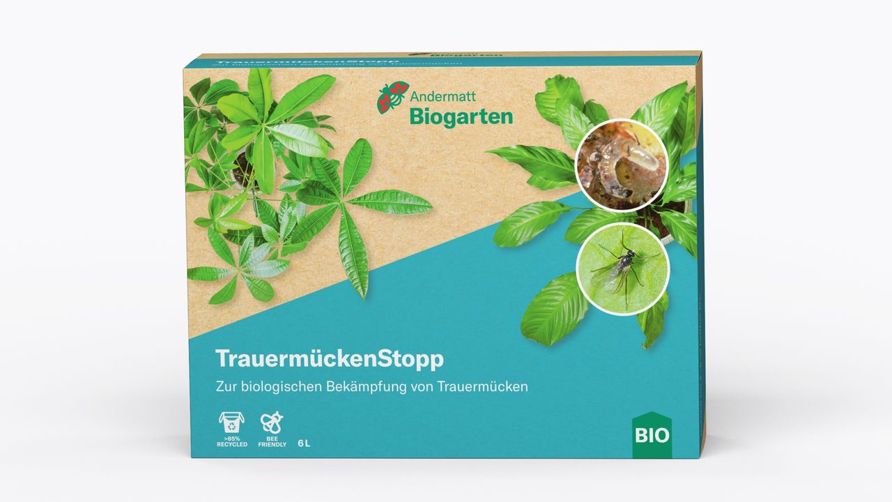 TrauermückenStopp - Nematoden