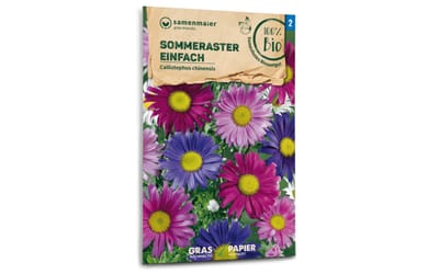 Sommeraster, einfach