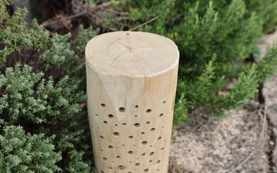 Wildbienen Nisthilfe Stamm 30 cm - Stamm 30 cm