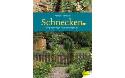 Schnecken