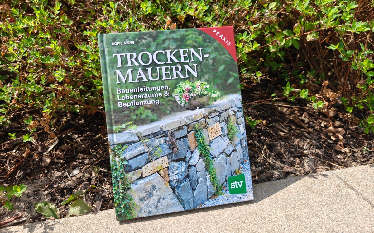 Trockenmauern