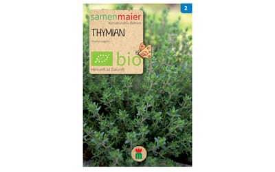 Thymian