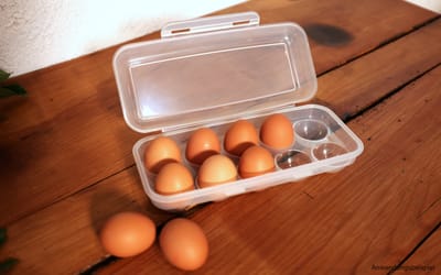 Eierbox