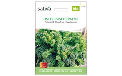 Ostfriesische Palme