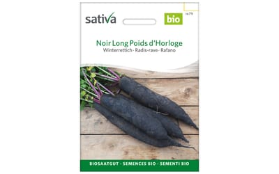 Noir Long Poids d'Horloge