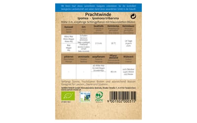 Prachtwinde