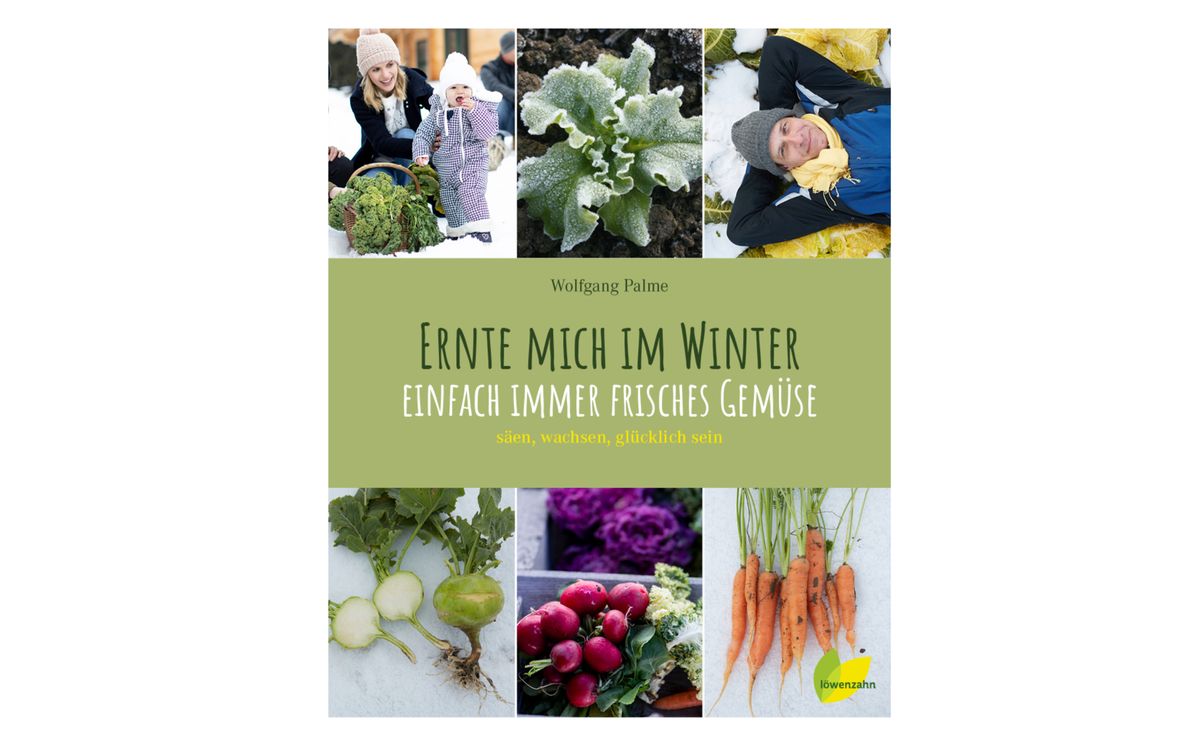 Ernte mich im Winter