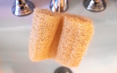 Luffa-Schwamm