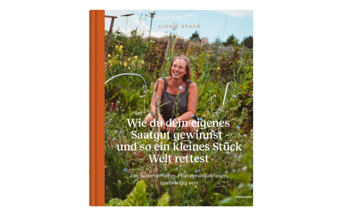 Wie du dein eigenes Saatgut gewinnst