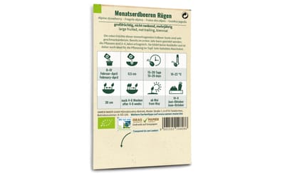 Monatserdbeeren Rügen