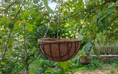 Hängekorb mit Kokoseinsatz 30cm