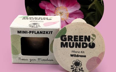 Pflanz-Kit Wildrose