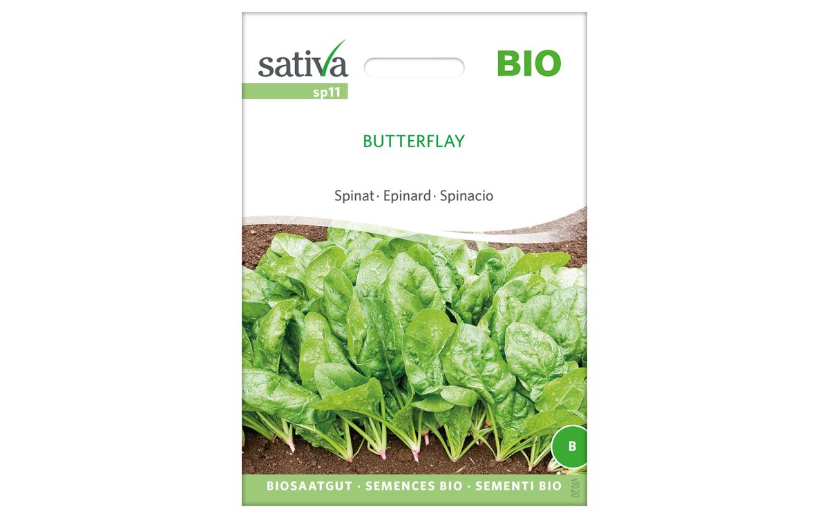 Butterflay