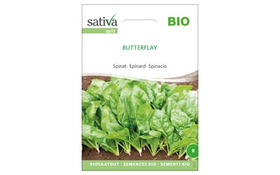 Butterflay